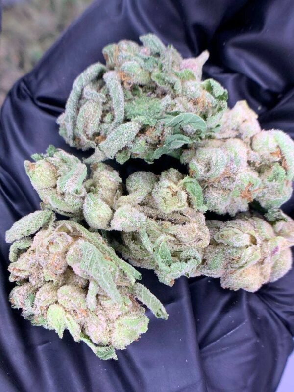Lions Cake THCa Flower
