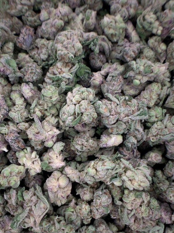 Lions Cake THCa Flower - Image 2