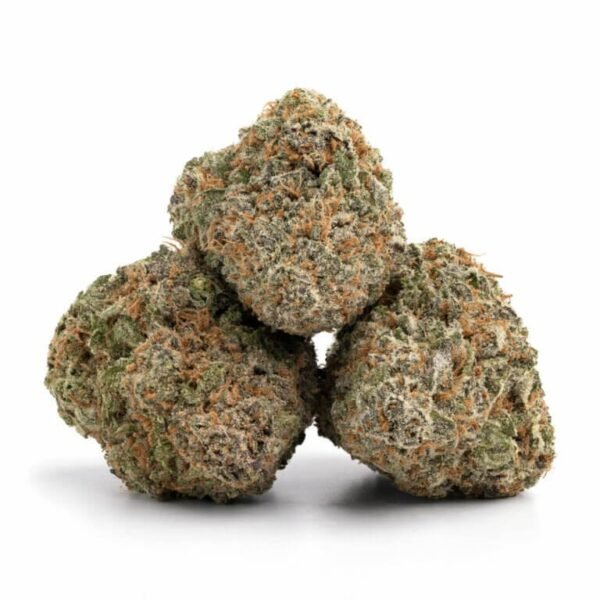 Mimosa Orange Punch THCa Flower - Image 2