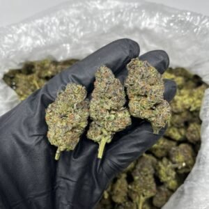 Mochi CBD Strain