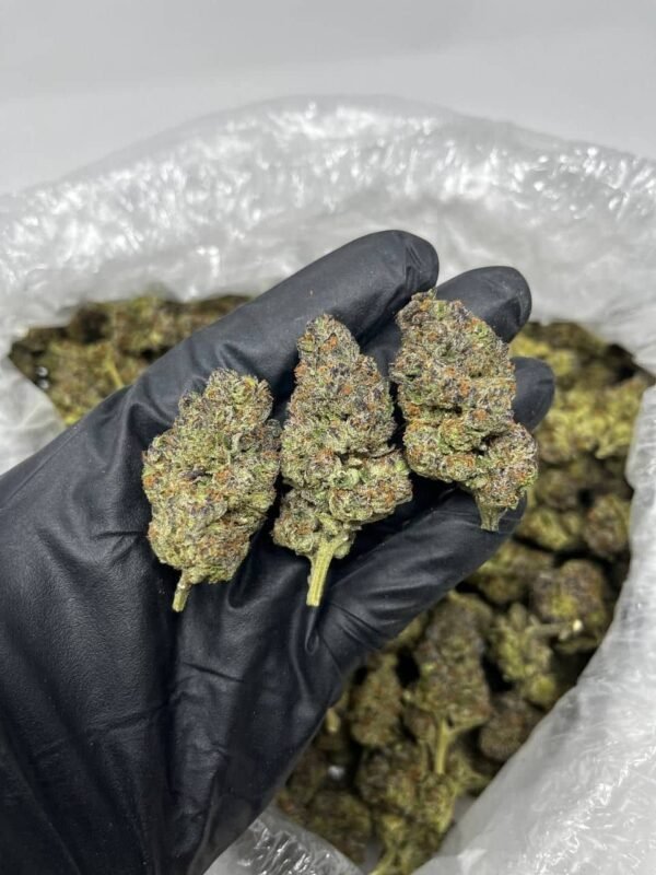 Mochi CBD Strain
