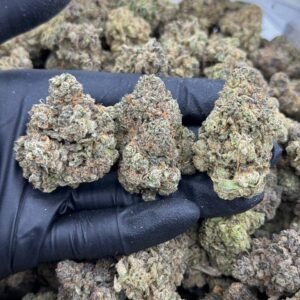 NYC Gelato THCA Flower