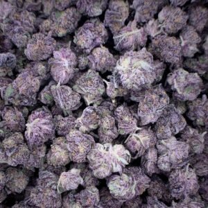 Northern Lights Delta-9 THC Flower