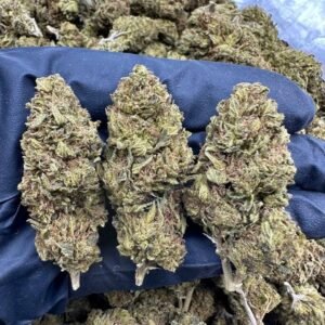 OG Kush CBD Strain