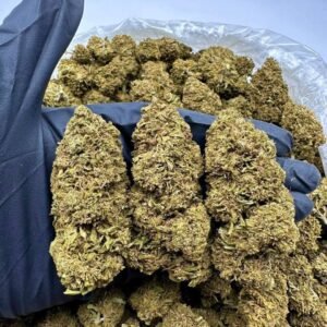 Orange Citrus CBD Strain