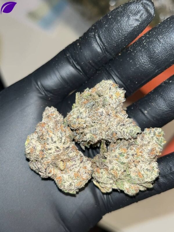 Oreo Blizzard THCA EXOTICS