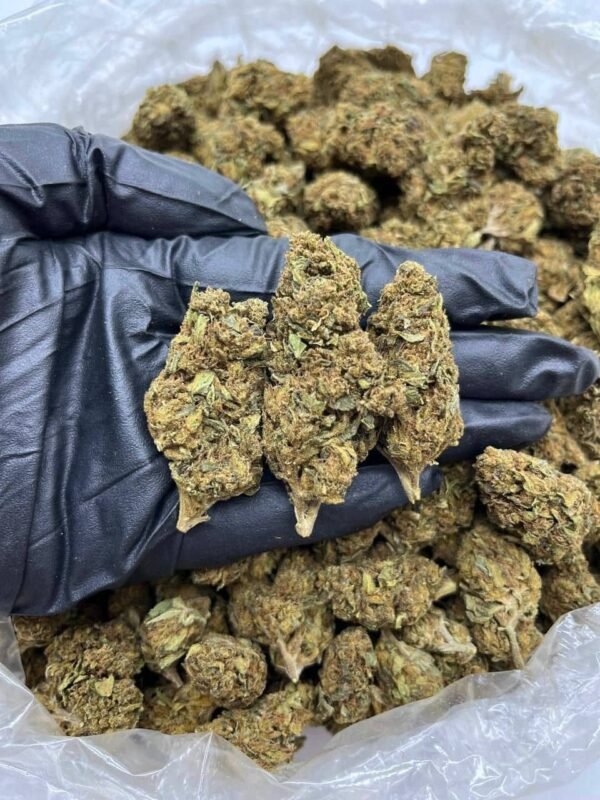 Pineapple Zest CBD Strain
