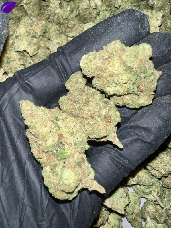 Papaya Bomb THCa Flower