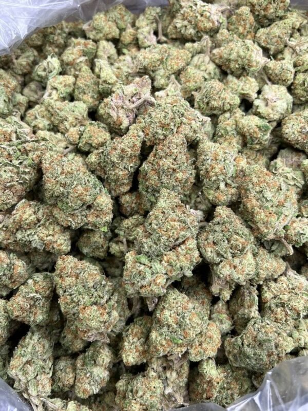 Papaya Punch Indoor CBD Strain