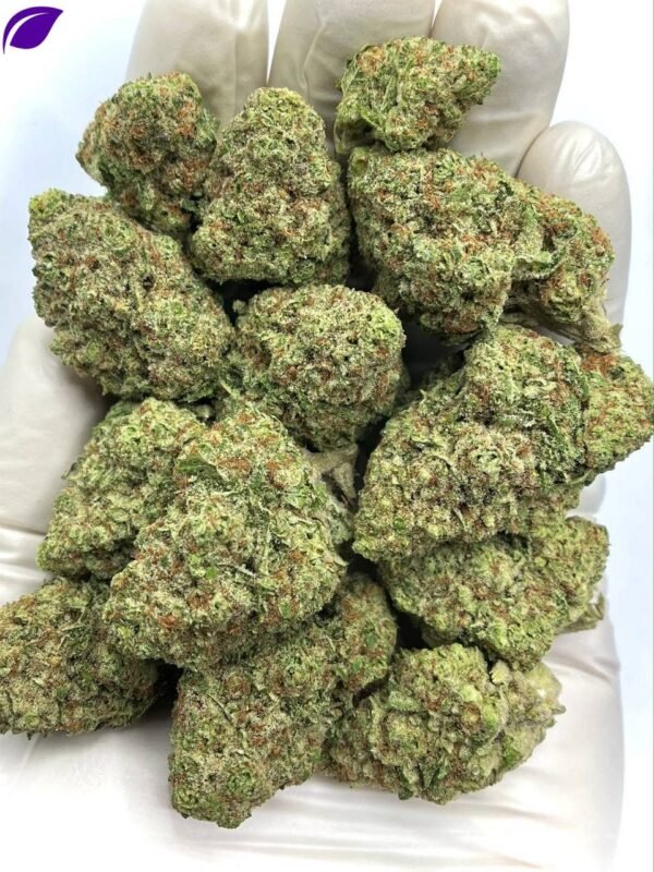 Papaya Punch THCA Flower