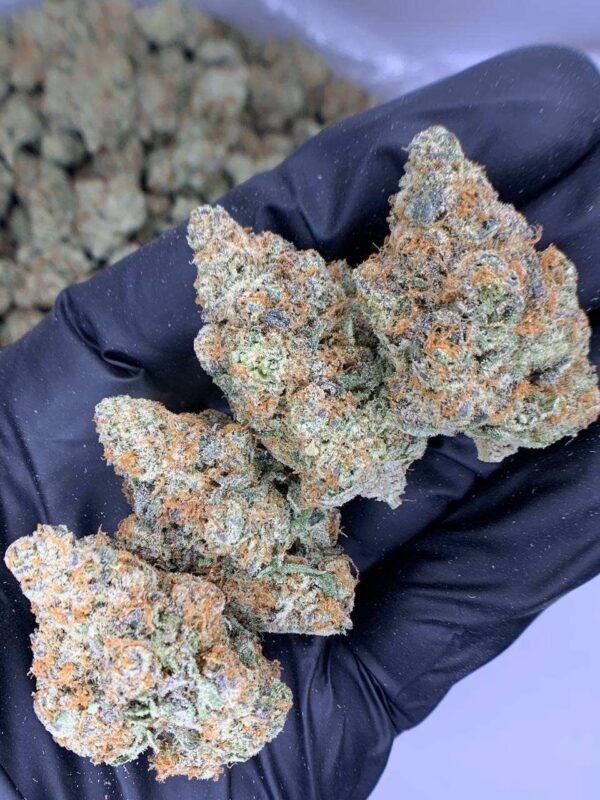 Pineapple Breeze THCa Flower