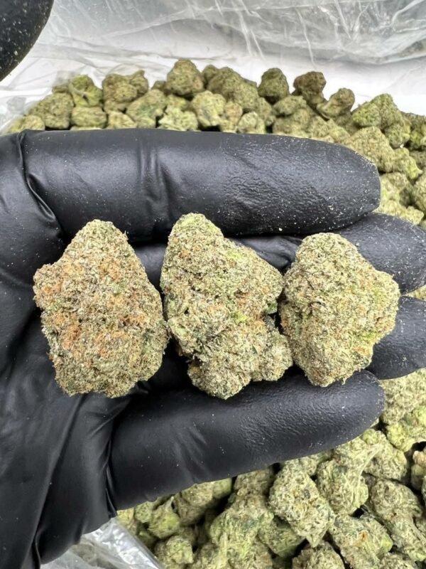 Pineberry Delight CBDV Flower