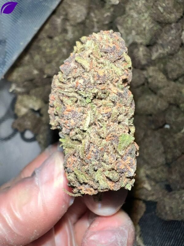 Pink Panther THCa Strain