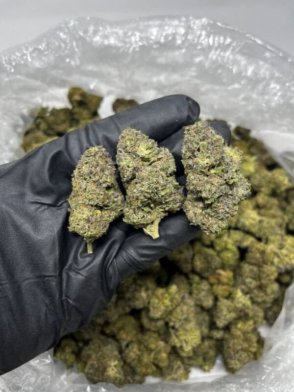 Pink Rosè CBD Strain