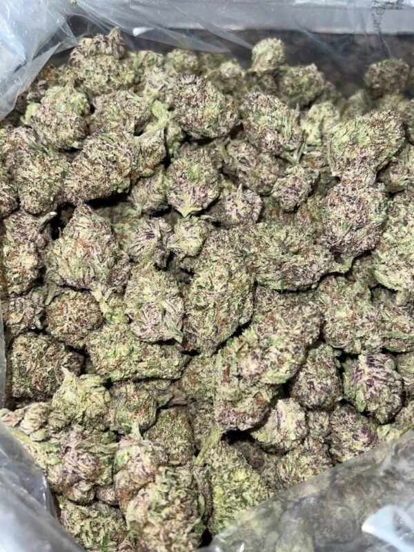 Pink Skittlez Indoor CBD Strain - Image 2