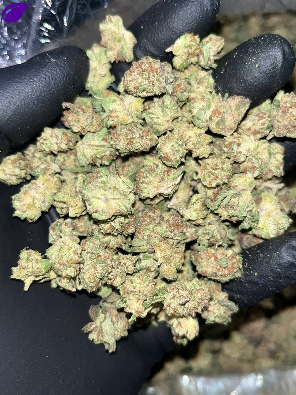 Platinum Punch THCa Smalls