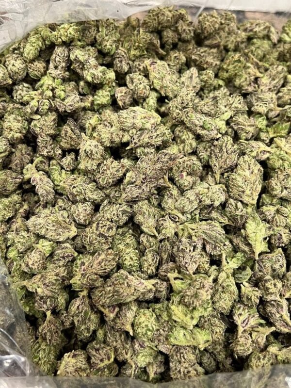 Pluto Gas Indoor CBD Strain - Image 2