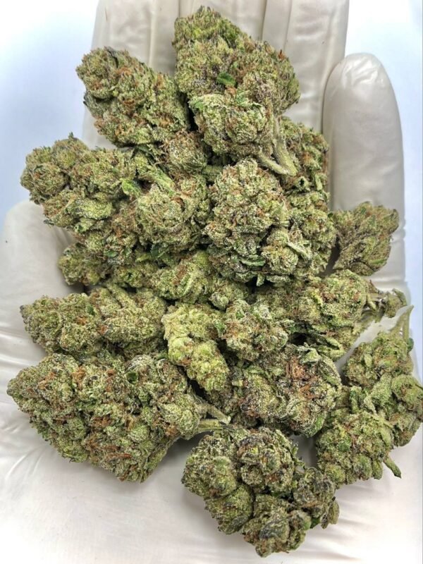Baby Runtz THCa Flower