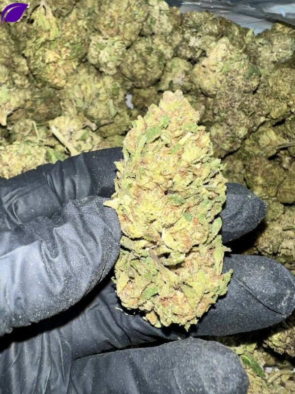 Zerealz Pie THCa Flower