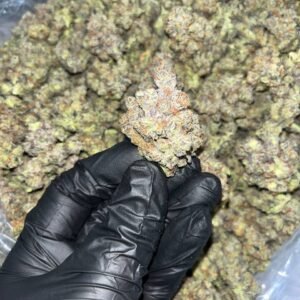 Pure Michigan THCa Exotics