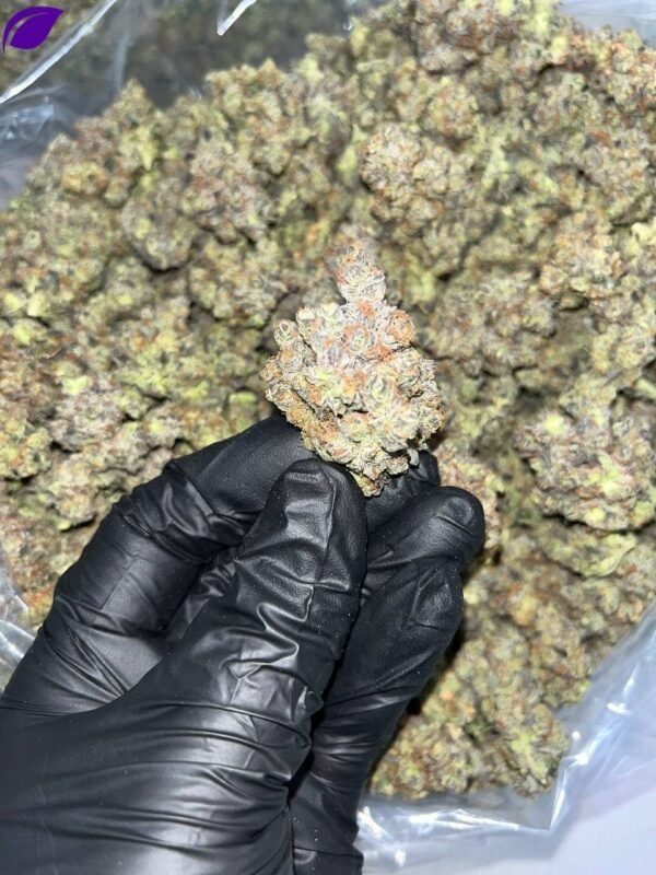 Pure Michigan THCa Exotics