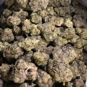 Pure White CBG Flower