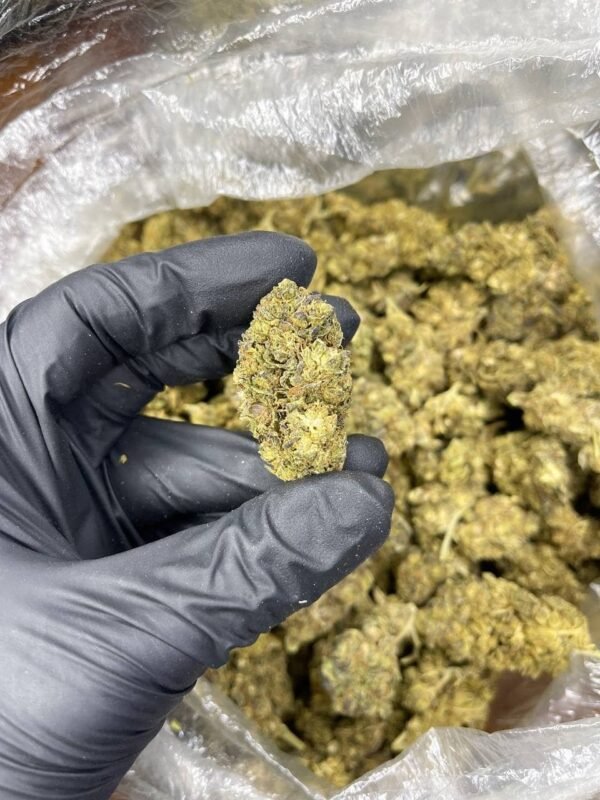 Purp Plat CBD Strain - Image 2
