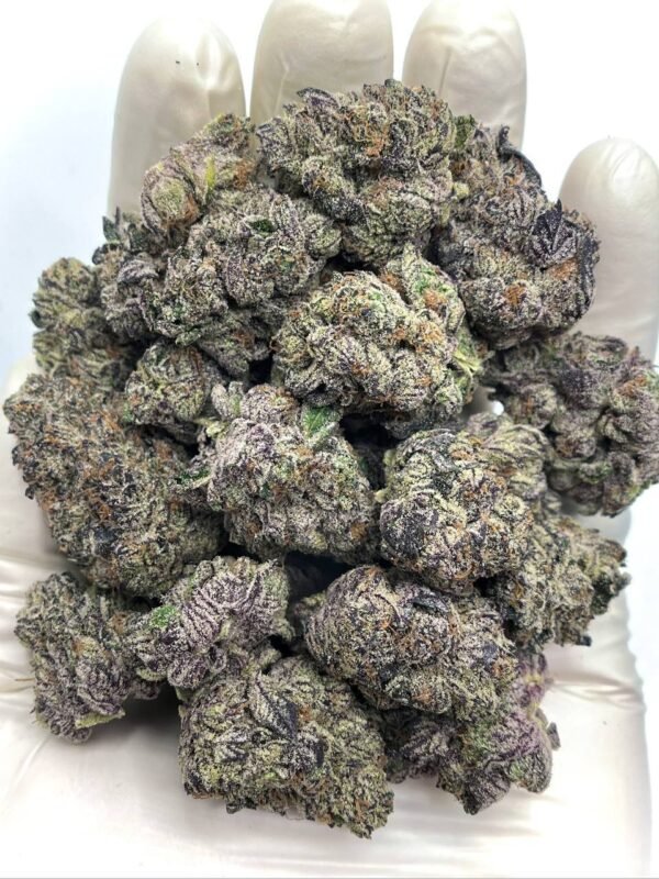 Purple Cream THCa Flower