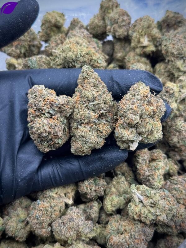 Purple Ice Pops THCA Strain