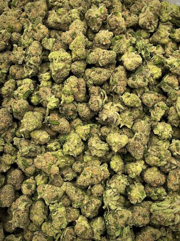 Purple Milk THCA Strain