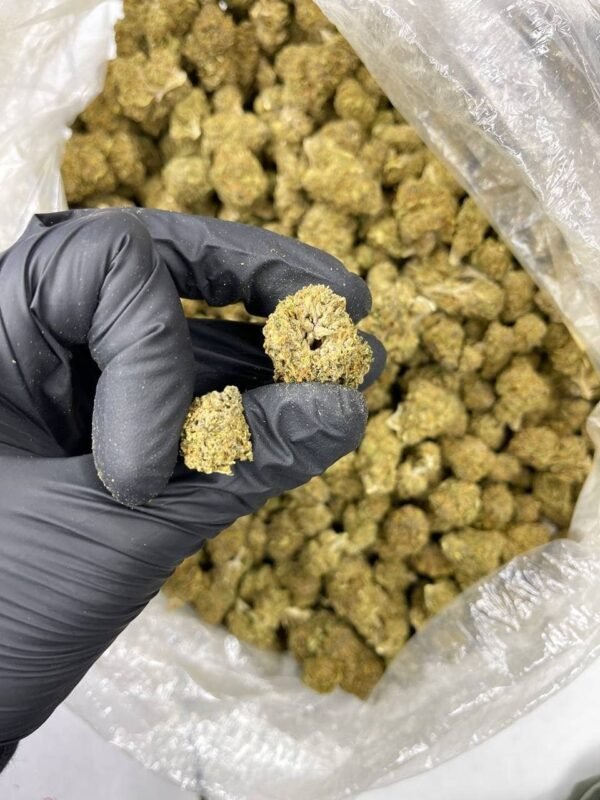 Purple Queen CBD Strain - Image 3