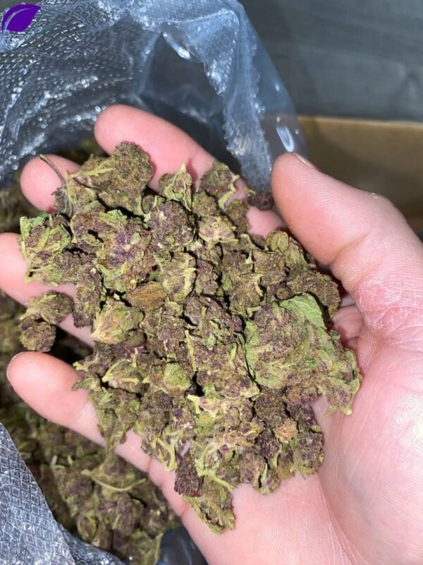 Queen Slayer THCa Smalls