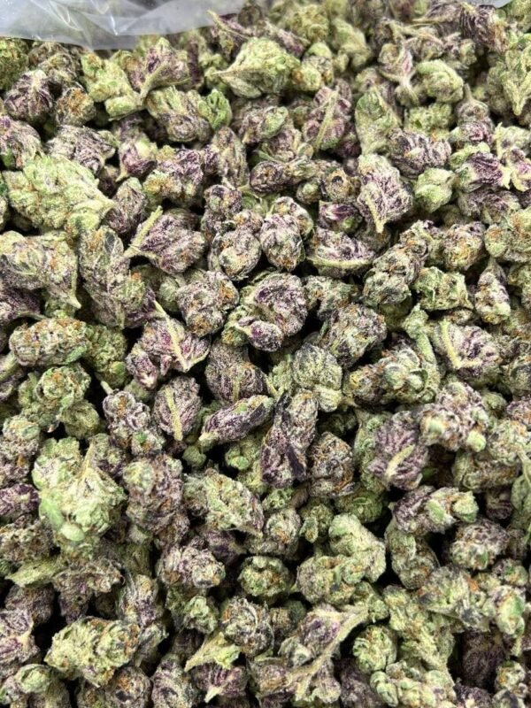Runthol Smalls Indoor CBD Strain