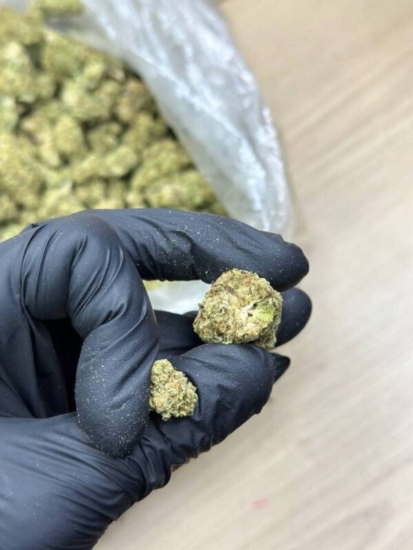 Rainbow Belts Indoor CBD Strain - Image 3