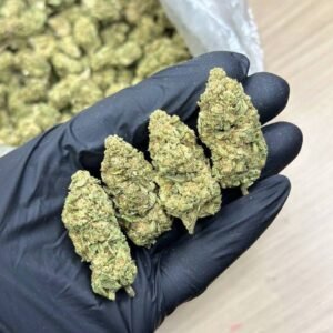 Rainbow Belts Indoor CBD Strain