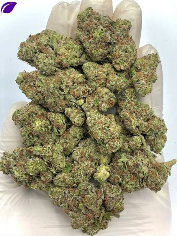 Rainbow Push Pop THCA Flower