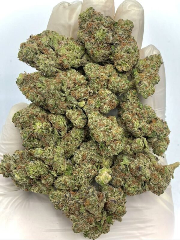 Rainbow Push Pop THCa Flower
