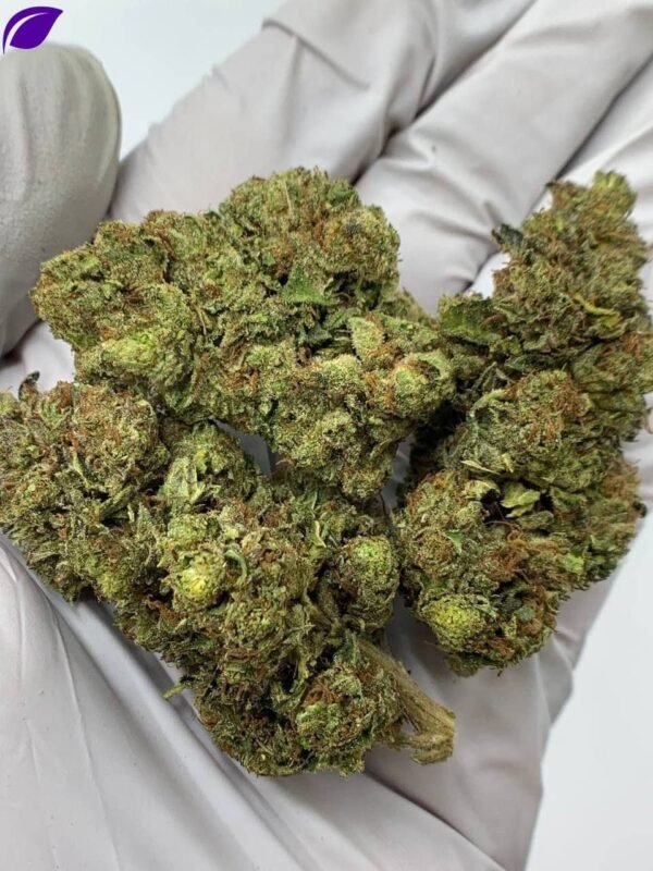 Rainbow Sherbet THCa Flower
