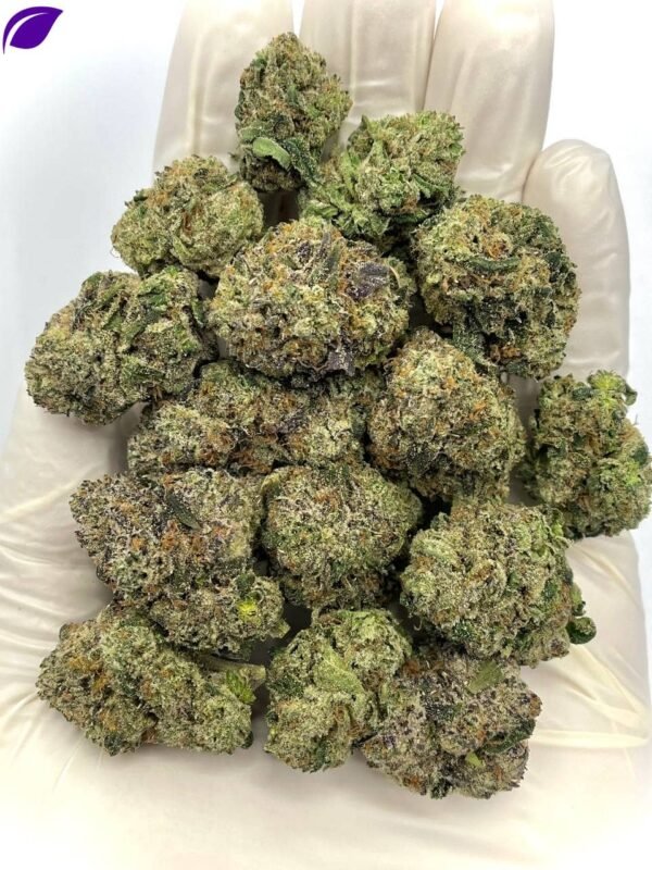 Razzmatazz Runtz THCA Flower