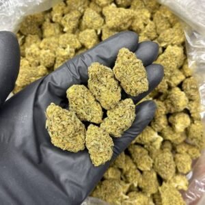 Riddles CBD Strain
