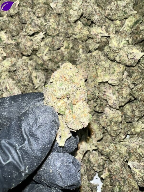Runtz Indoor THCa Flower