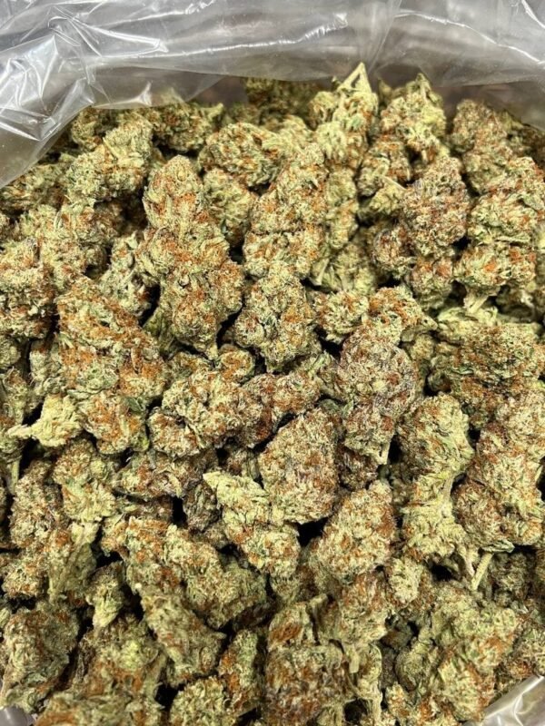 Sherblatto Indoor CBD Strain