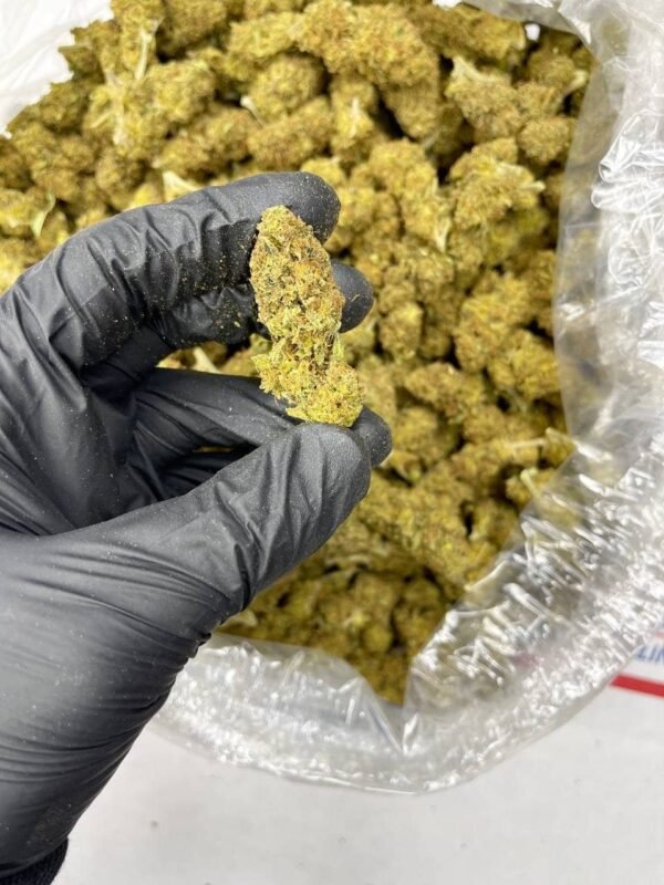 Skywalker CBD Strain - Image 2