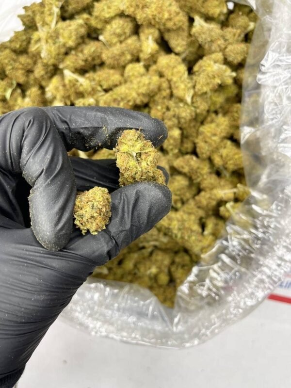 Skywalker CBD Strain - Image 3