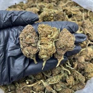 Sunset Fire CBD Strain