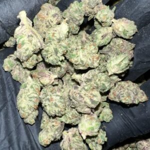 Secret Cookies THCa Flower