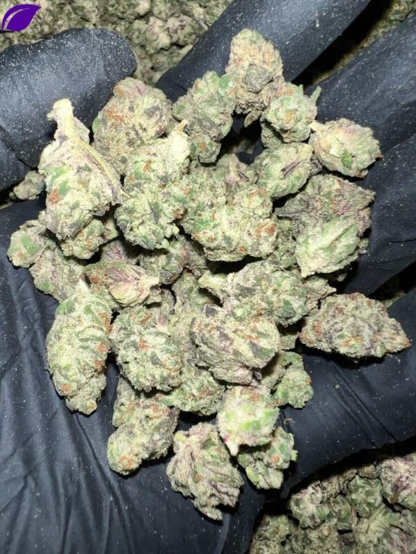 Secret Cookies THCa Flower