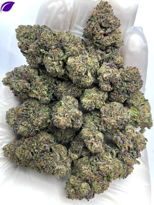 Shirley Temple THCA Flower