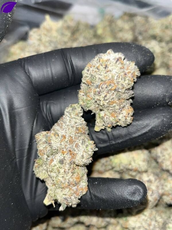 Slurricane THCa Exotics