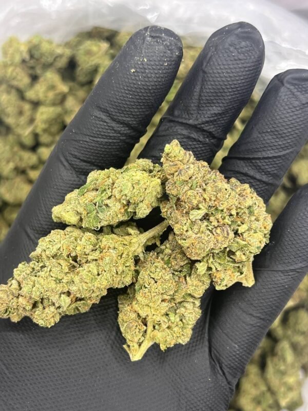 Slushie THCa Flower